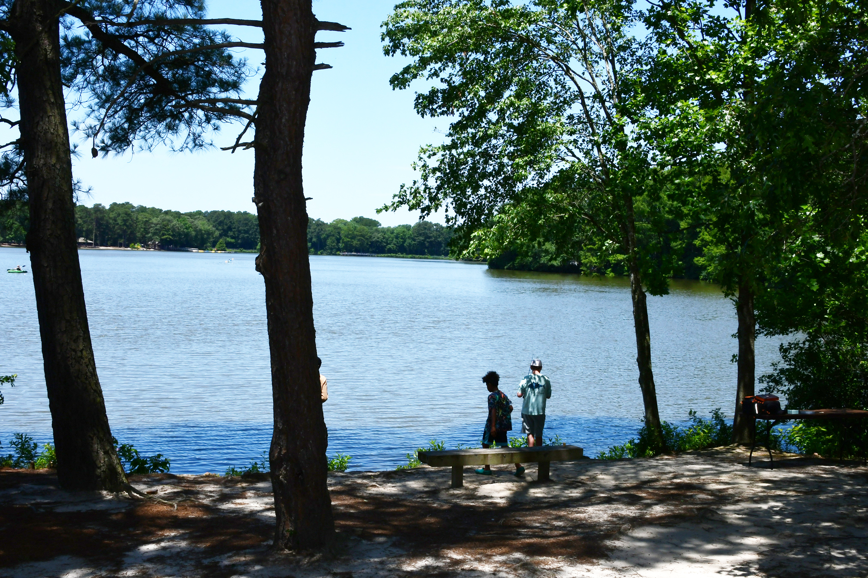 A portion of Jason Beach, part of Trap Pond State Park.