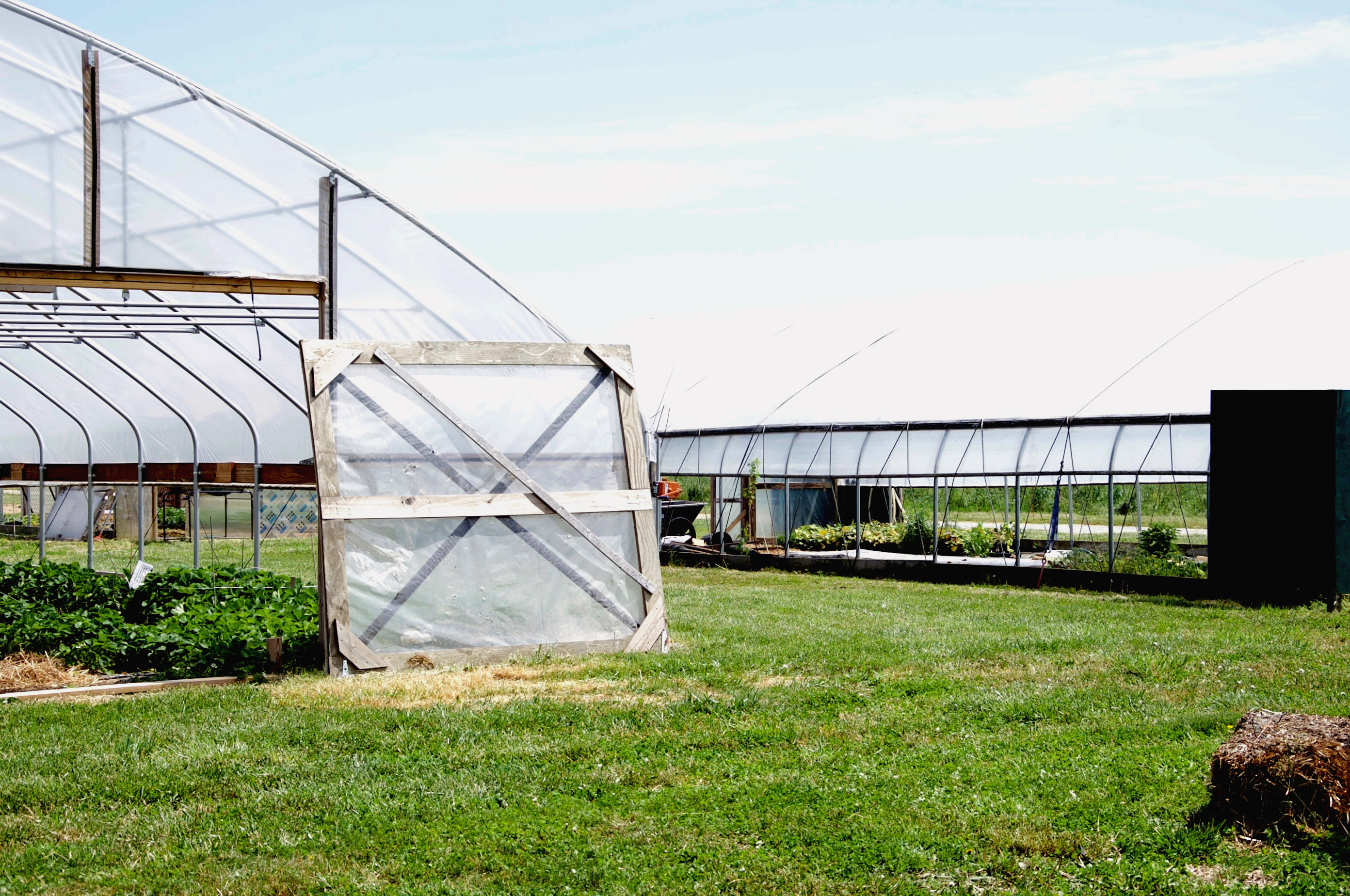 High tunnels at DSU's Outreach and Research Center demonstrate how farmers can extend the growing season.