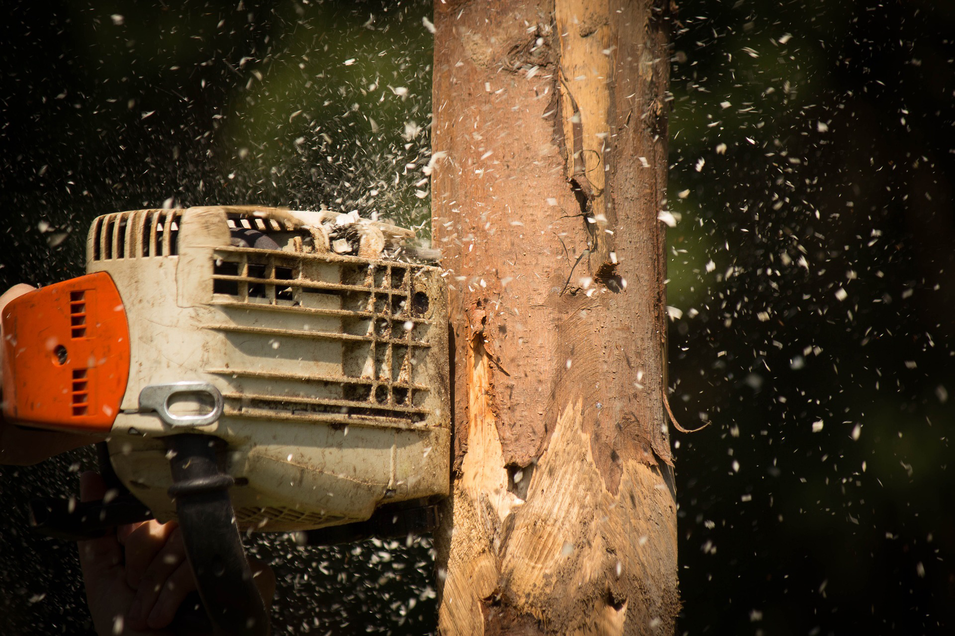 Do’s and don’ts of chainsaw operations.