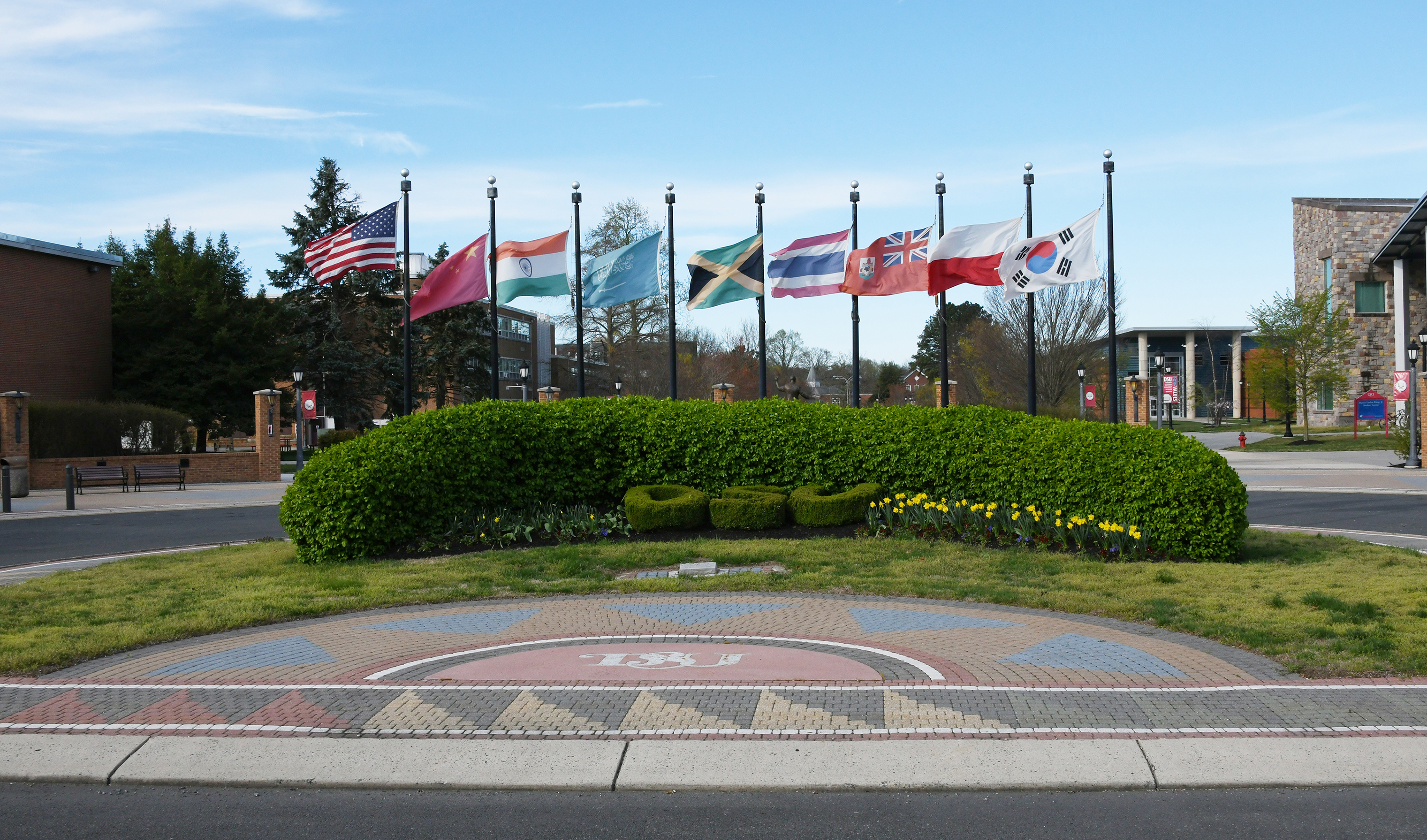 DSU Flagpoles