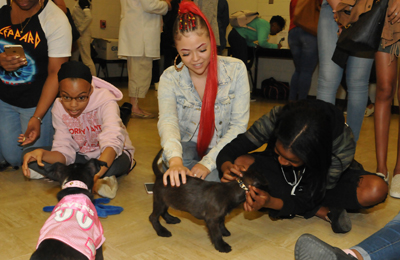 More than 400 students participated in Dog Therapy Day.