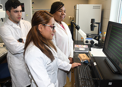 (L-r) Gadriel Guevara, Karla Sanchez and Destiny King look at "spikes" that are essential in neuron communications.