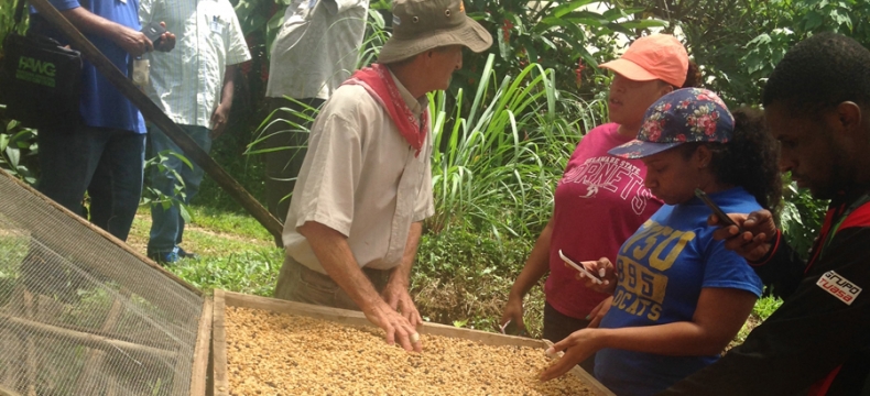 DSU Students Get Sustainability Lessons in Costa Rica