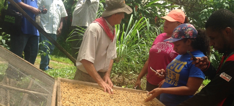 DSU Students Get Sustainability Lessons in Costa Rica