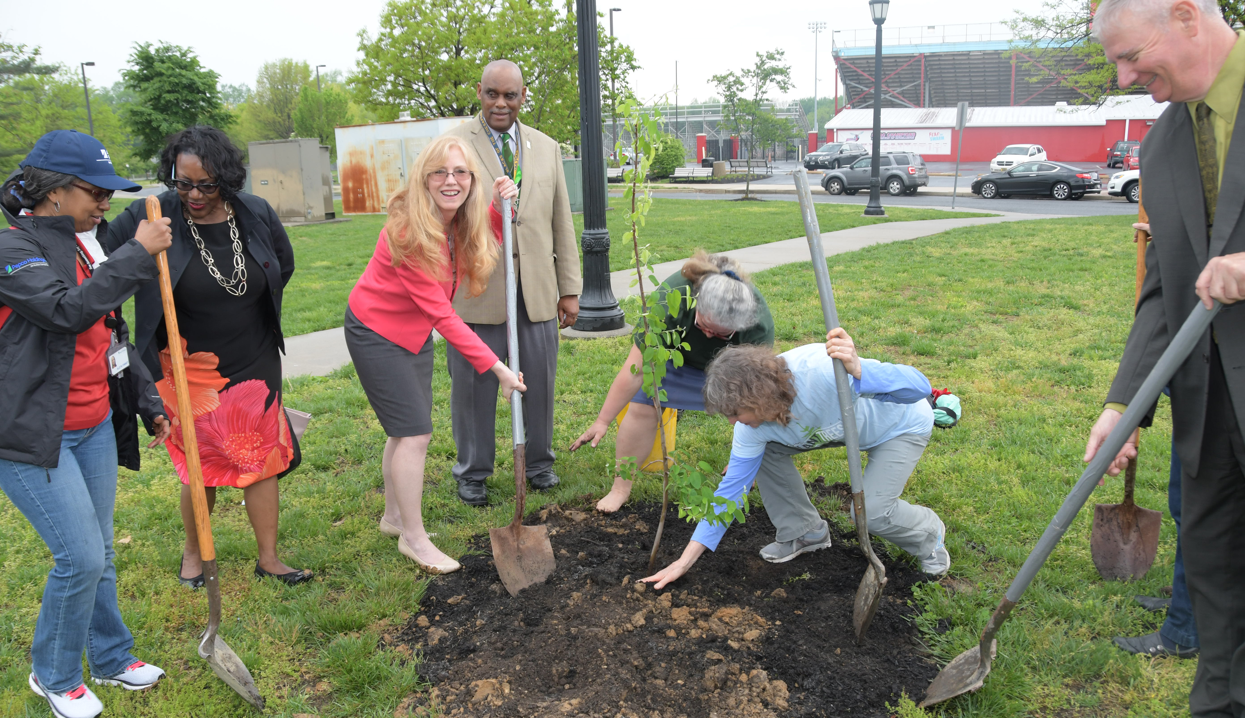 State Sen. Stephanie Hansen (standing in center with shovel) helps other in planting a new tree outside of the Martin Luther King Jr. Student Center.