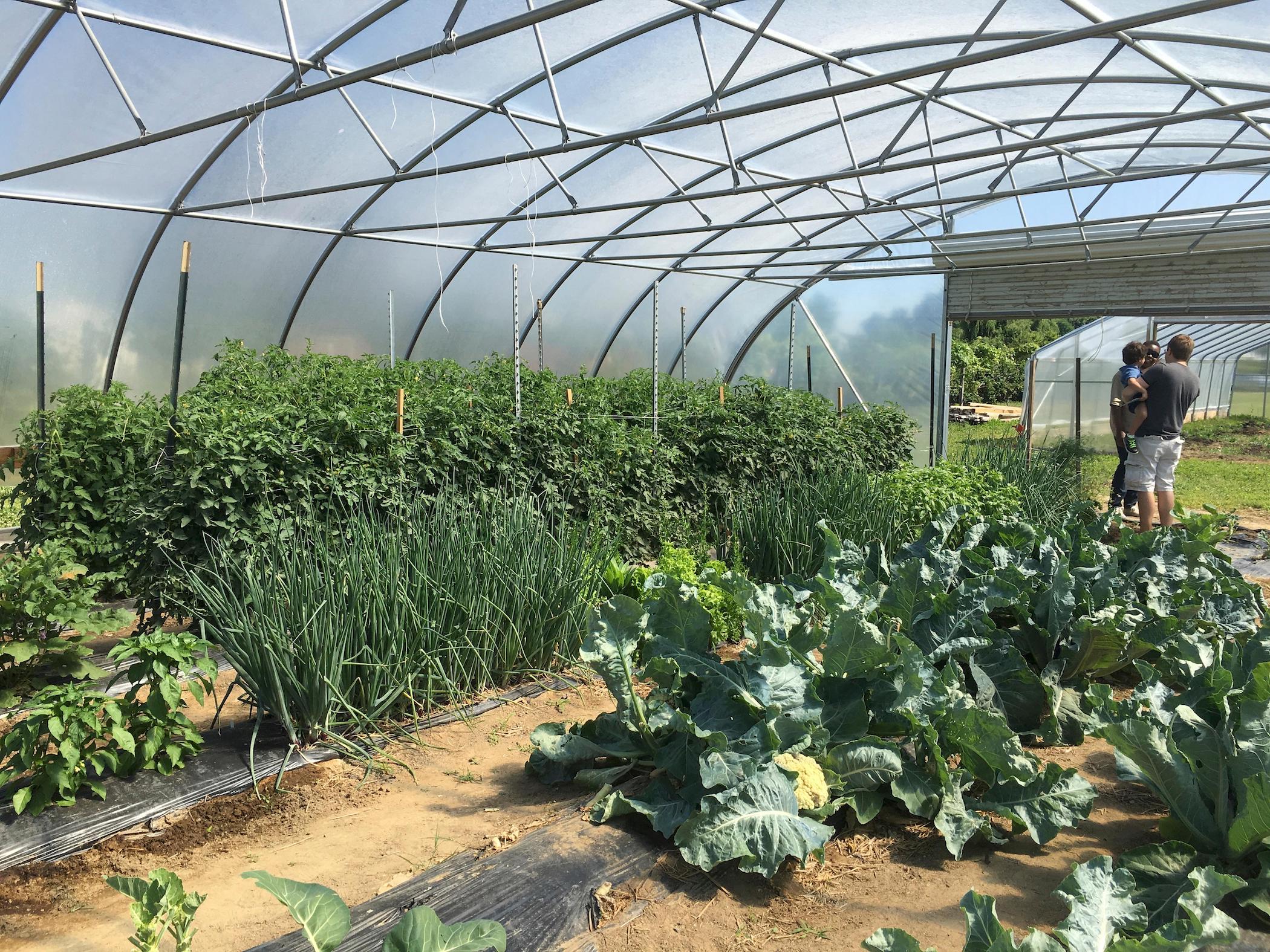 USDA spotlights DSU's Climate Hub demonstration project