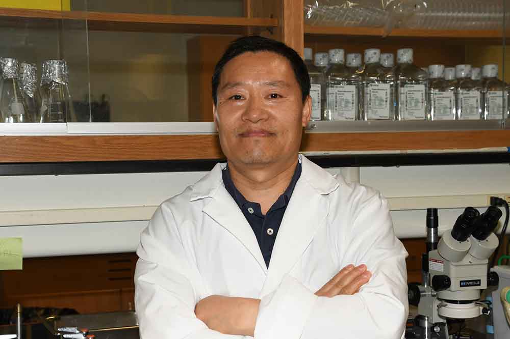 Dr. Jianli Sun awarded $400,839 NIH research grant 