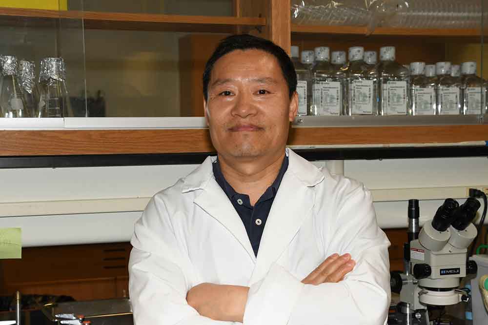 The National Institute of Health has awarded Dr. Jianli Sun, Director of the Cell Electrophysiology Core Facility in the University's Delaware Institute for Science and Technology, a $400,839 grant in support of his research work in the area of Spinal Muscular Atrophy.