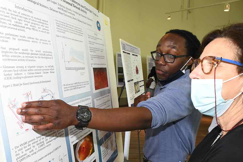 Delaware State University's Victor McMillian explain his research poster to an inquiring person. Mr. McMillian's poster won 1st Place in the Neuroscience category of the University 2022 Summer Research Symposium.