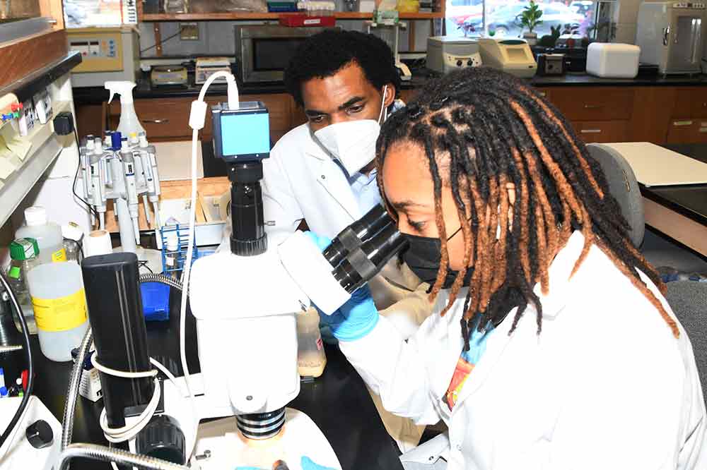(L-r) Dr. Hakeem Lawal works with undergraduate Taylor Davis in the lab. Dr. Hakeem is the Principal Investigator of a $973,923 grant from the National Science Foundation that will support research on brain chemical dynamics.