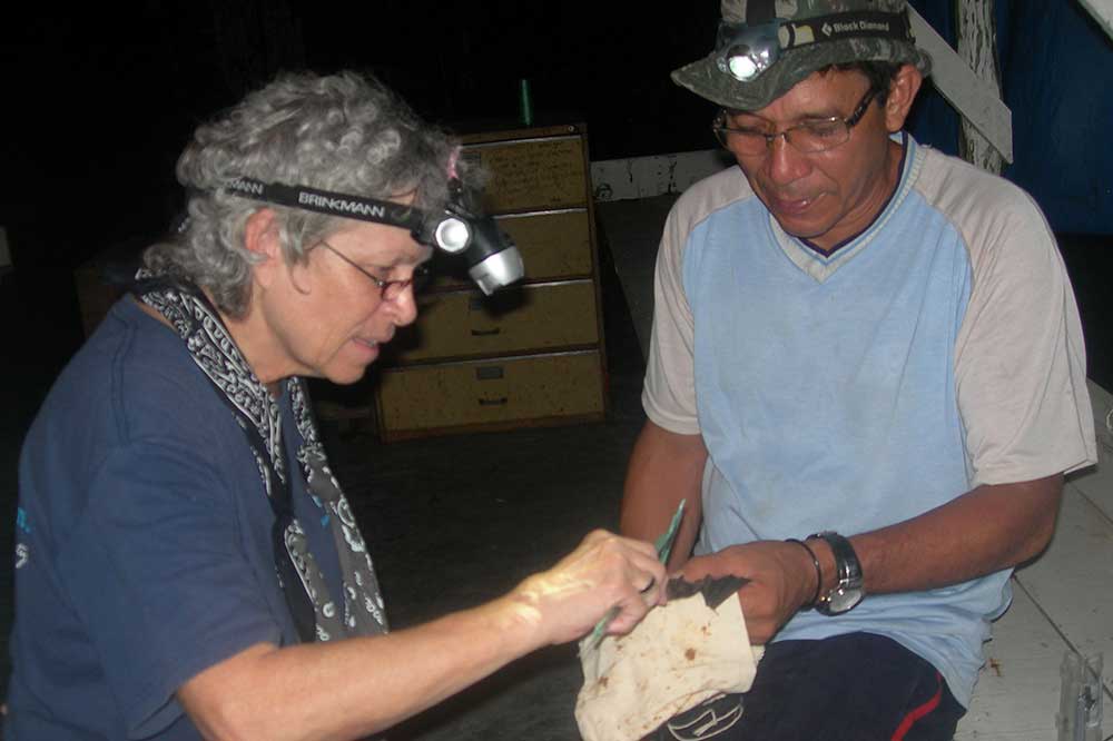 In a 2011 photo, Dr. Kevina Vulinec (left), Professor of Agriculture and Natural Resources, researched and taught on seed-dispersing bats in Brazil's tropical rainforest as a Fulbright Scholar. She also served as a Fulbright Ambassador in 2016.