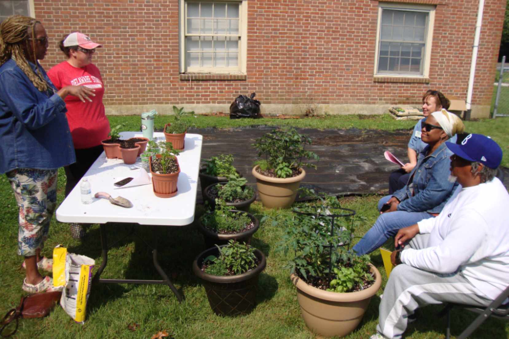 DSU Cooperative Extension hosts small-space gardening workshop