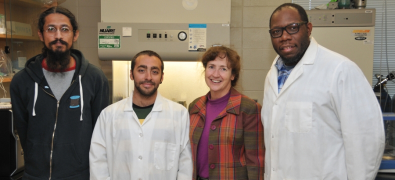 Faculty Duo's Research Awarded $700,000 NSF Grant