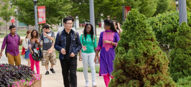 DSU, Diversity