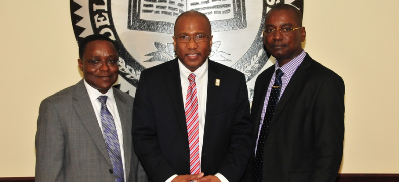 DSU, Ivory Coast, partnership