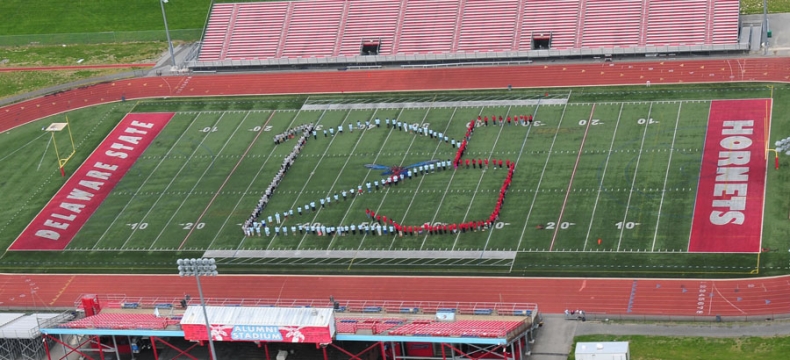 delaware state university nursing