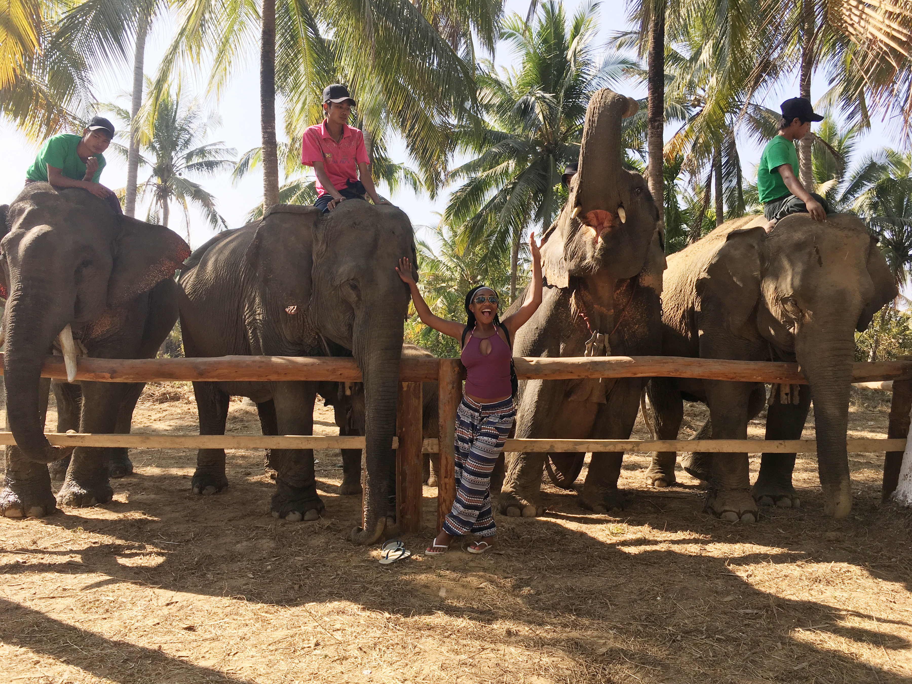 Not many students have an opportunity to take a break from classes and go hang out with elephants, but that is exactly what Deja Marsh did in the spring during her Semester at Sea study abroad experience.