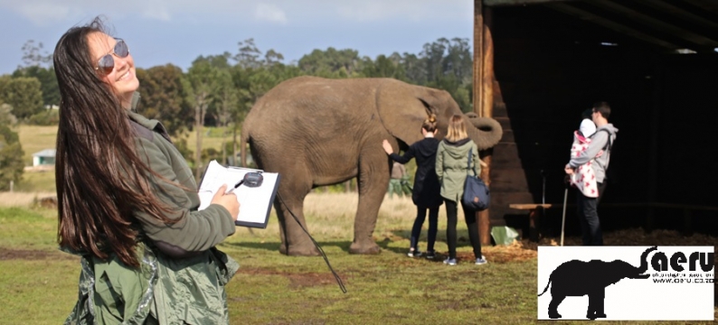 DSU Natural Resources Major Does Elephant Research in Africa