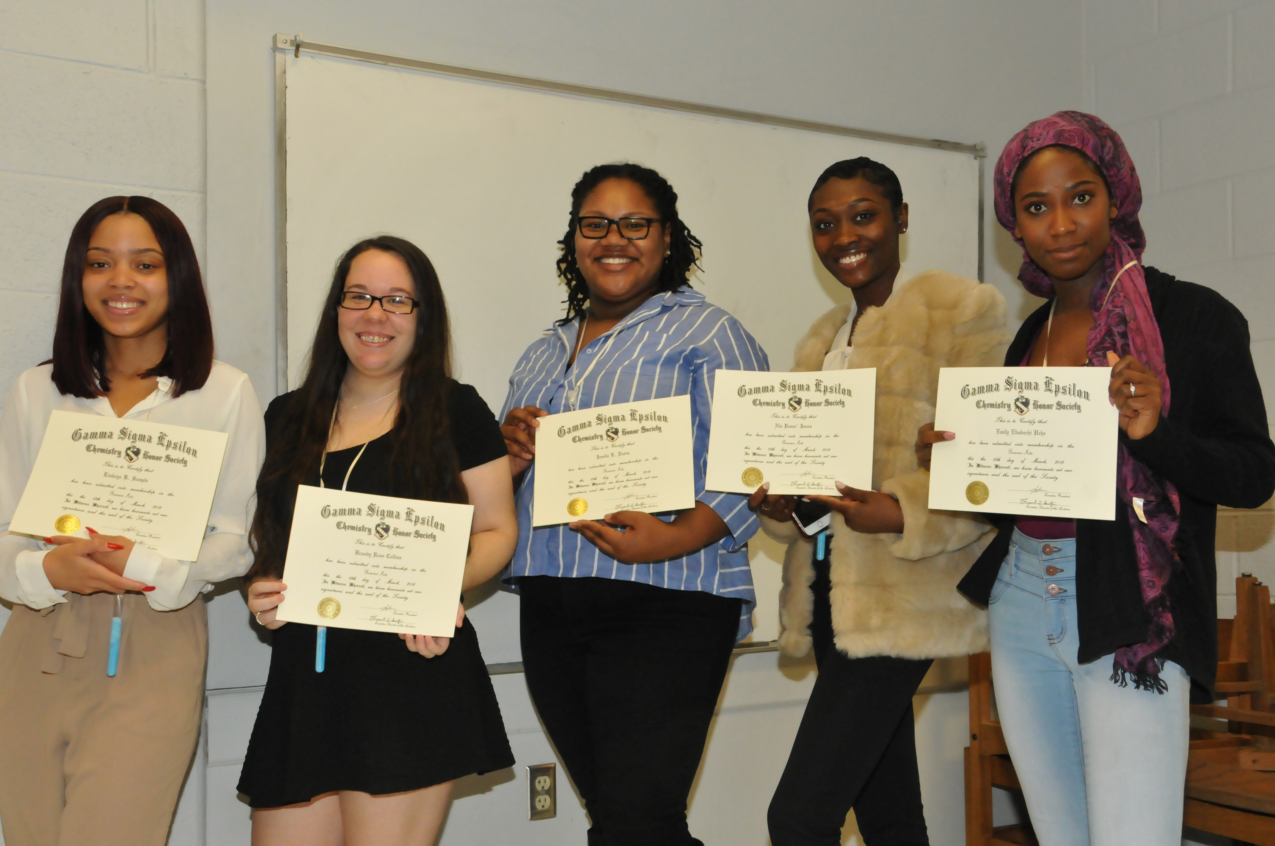 Seated (l-r) Gamma Sigma Epsilon Initiates: Linkeya Sample, Emily Uche, Nia Jones, Jamila Davis, and Brandy Collins.; chemistry faculty (standing l-r): Dr. Jalaal Hayes, Dr. Cherese Winstead-Casson, Dr. Kimberly Milligan, Dr. Weiping Song, Dr. Young Gi-Kim, and Dr. Bizuneh Workie