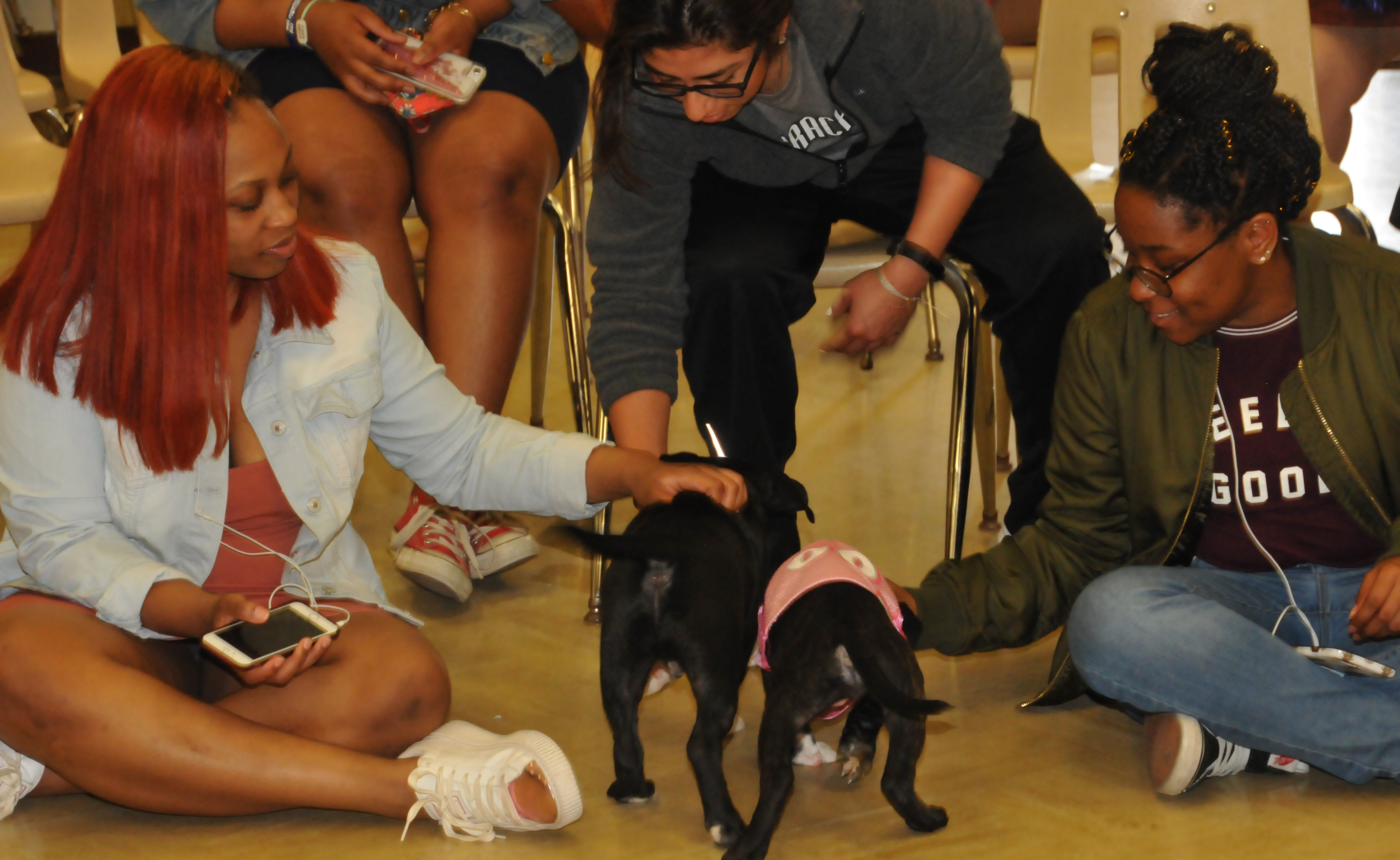 Two DSU students play with two puppies as a relaxing way to reduce stress.